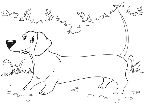 Dachshund coloring pages free coloring pages