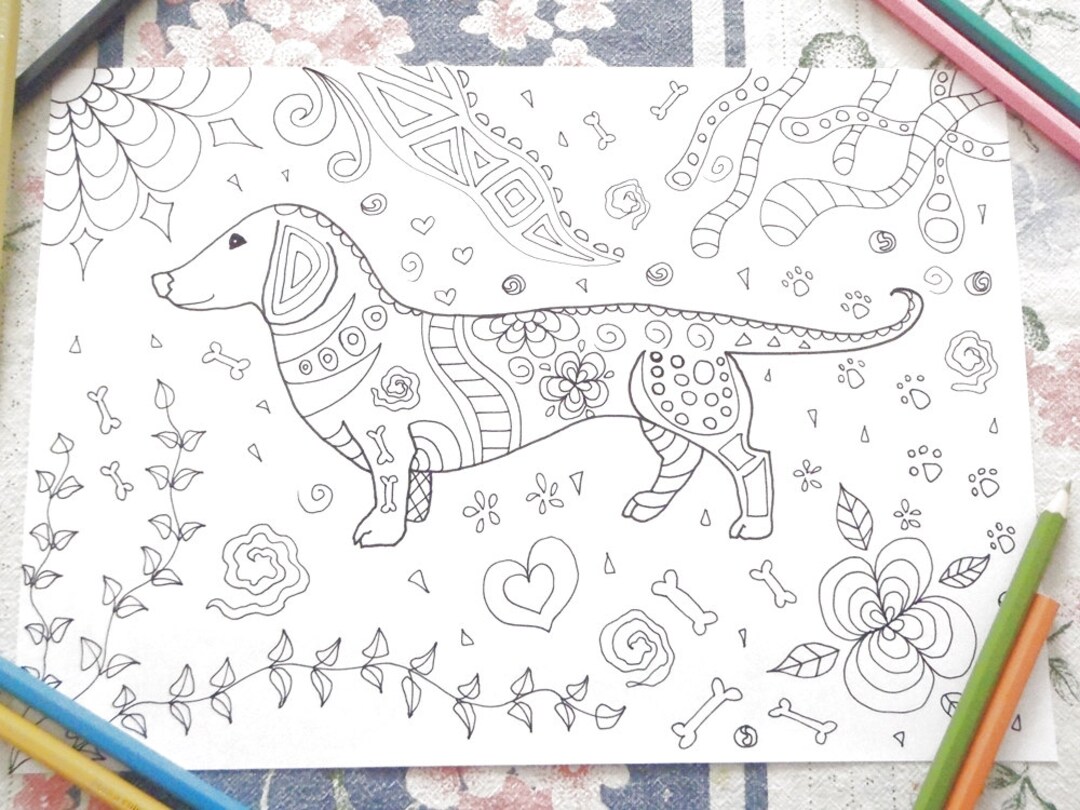 Dachshund dog coloring sausage dog adult sheet adult download colouring dog øùùùø ñððððºð ç zen printable print digital pet lasoffittadiste