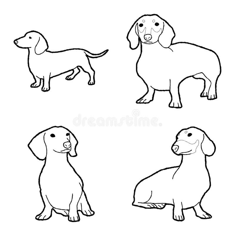 Dachshund animal vector illustration hand drawn cartoon art stock vector