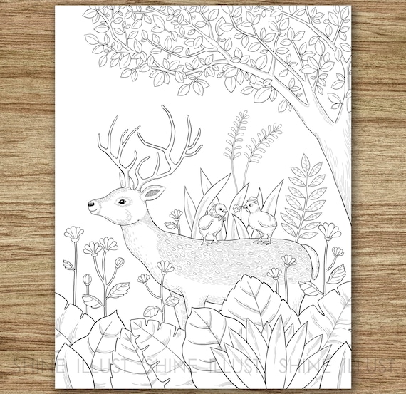 Printable coloring page deer coloring chicks forest coloring coloring sheet animal coloring