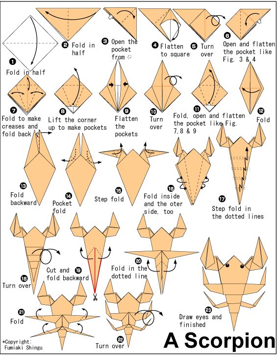 Wow plex origami instructions ikuzo origami origami design origami patterns origami instructions