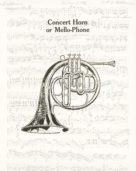 Band instrument french horn drawing vintage musical instrument wall art looks great framed or as