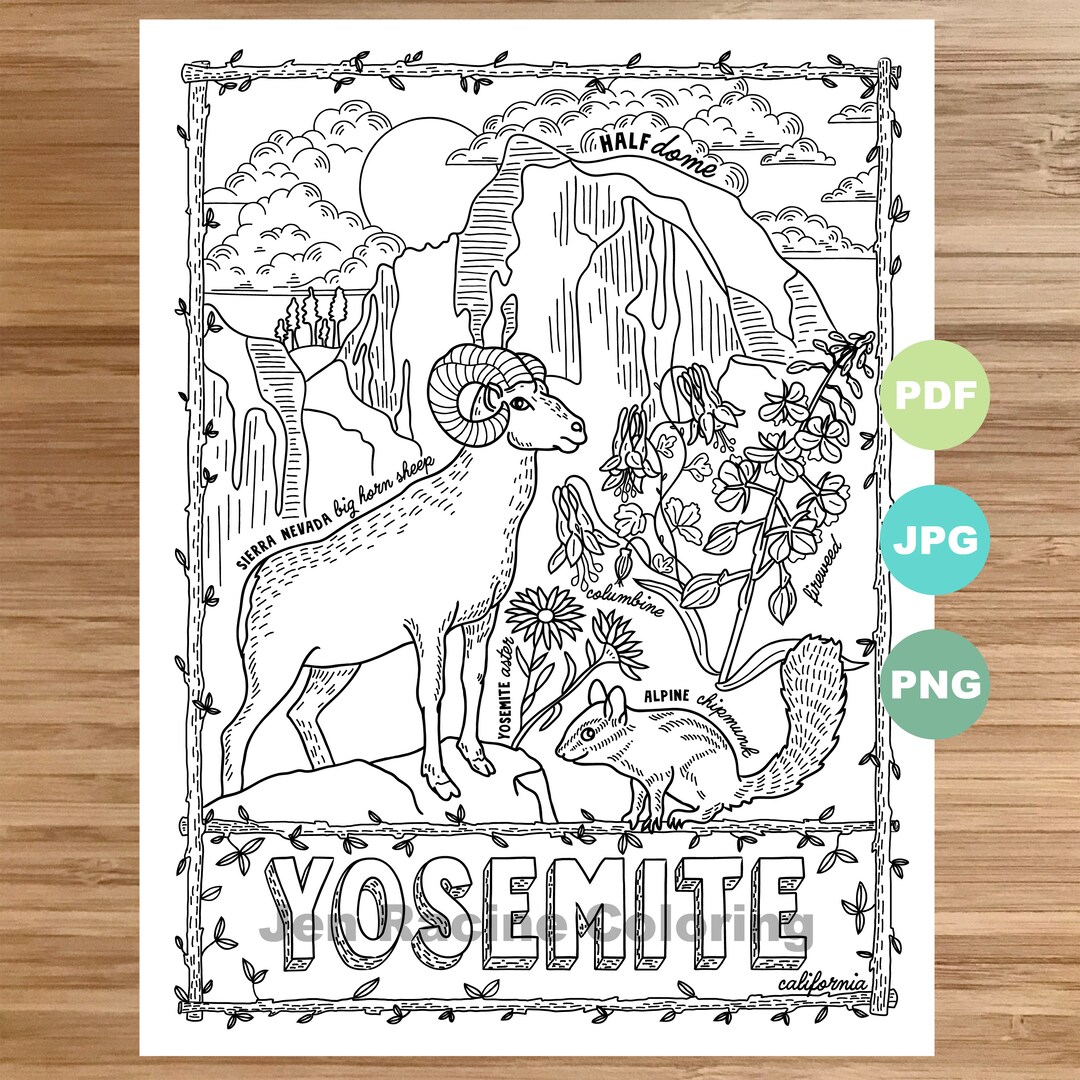 National park coloring page yosemite california national park landscape animal plant wildflower coloring page printable