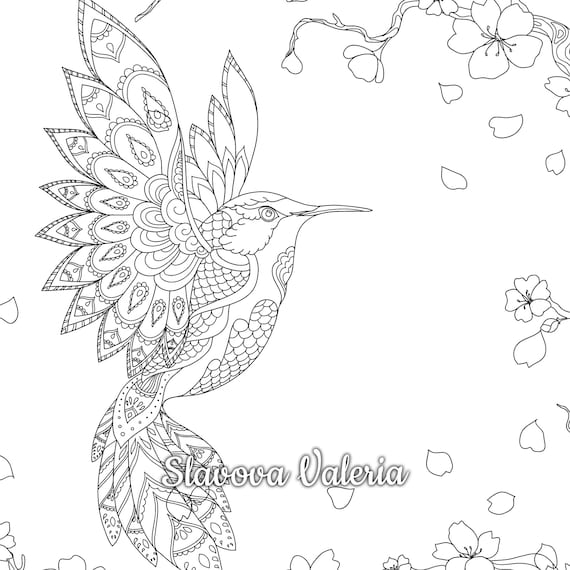 Hummingbird and sakura coloring page printable coloring page hummingbird flowers digital coloring sheet