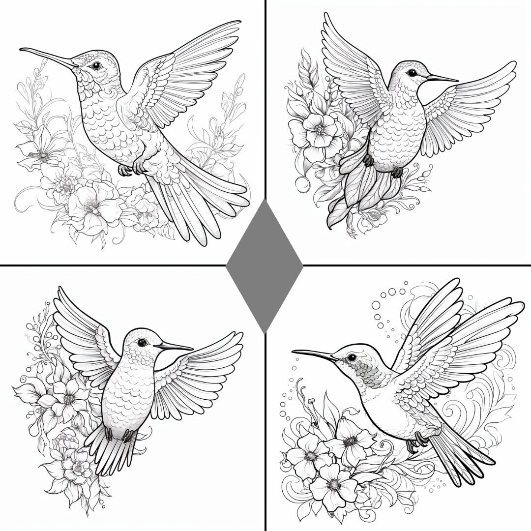 Hummingbird coloring book pages black and white hummingbird photos for coloring png format dpi instant download great for kids