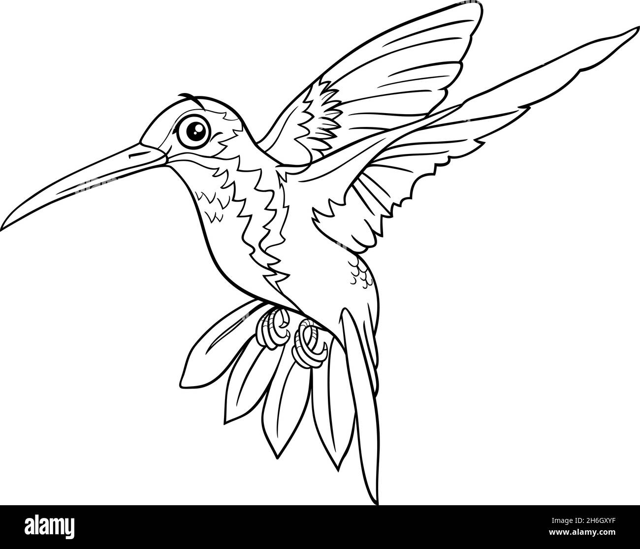 Hummingbird cartoon vector illustration hi