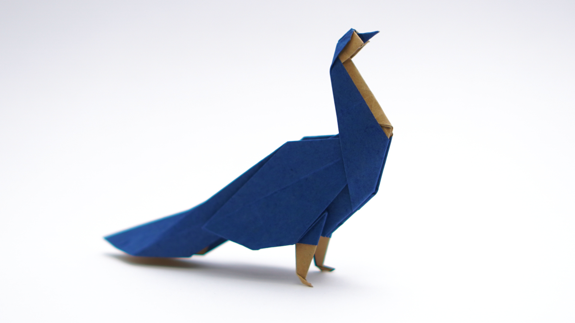 Origami peacock