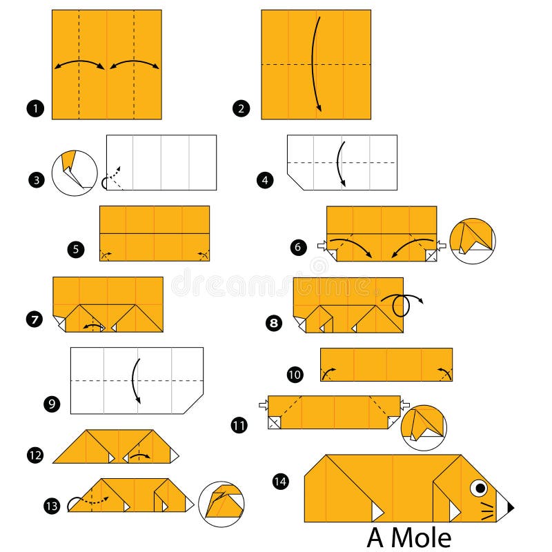 Step by step instructions how to make origami a soft cream stock vector