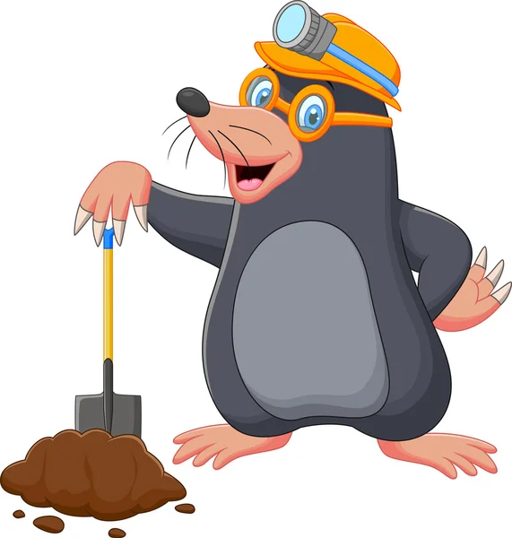 Mole vector images