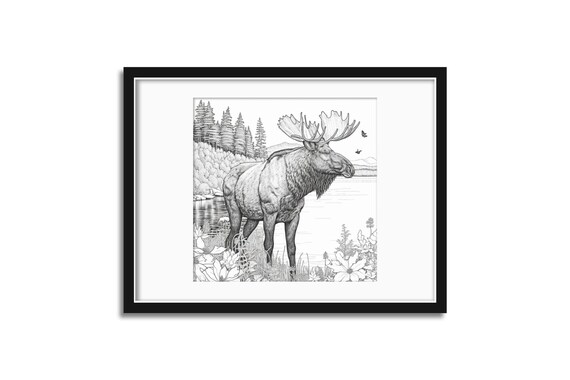 Moose coloring page coloring page for adult printable