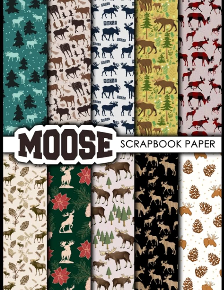 Moose scrapbook paper double sided sheets x for scrapbooking mixed media art junk journals crafting projects origami and more premium color editions rekiamoosescrap books