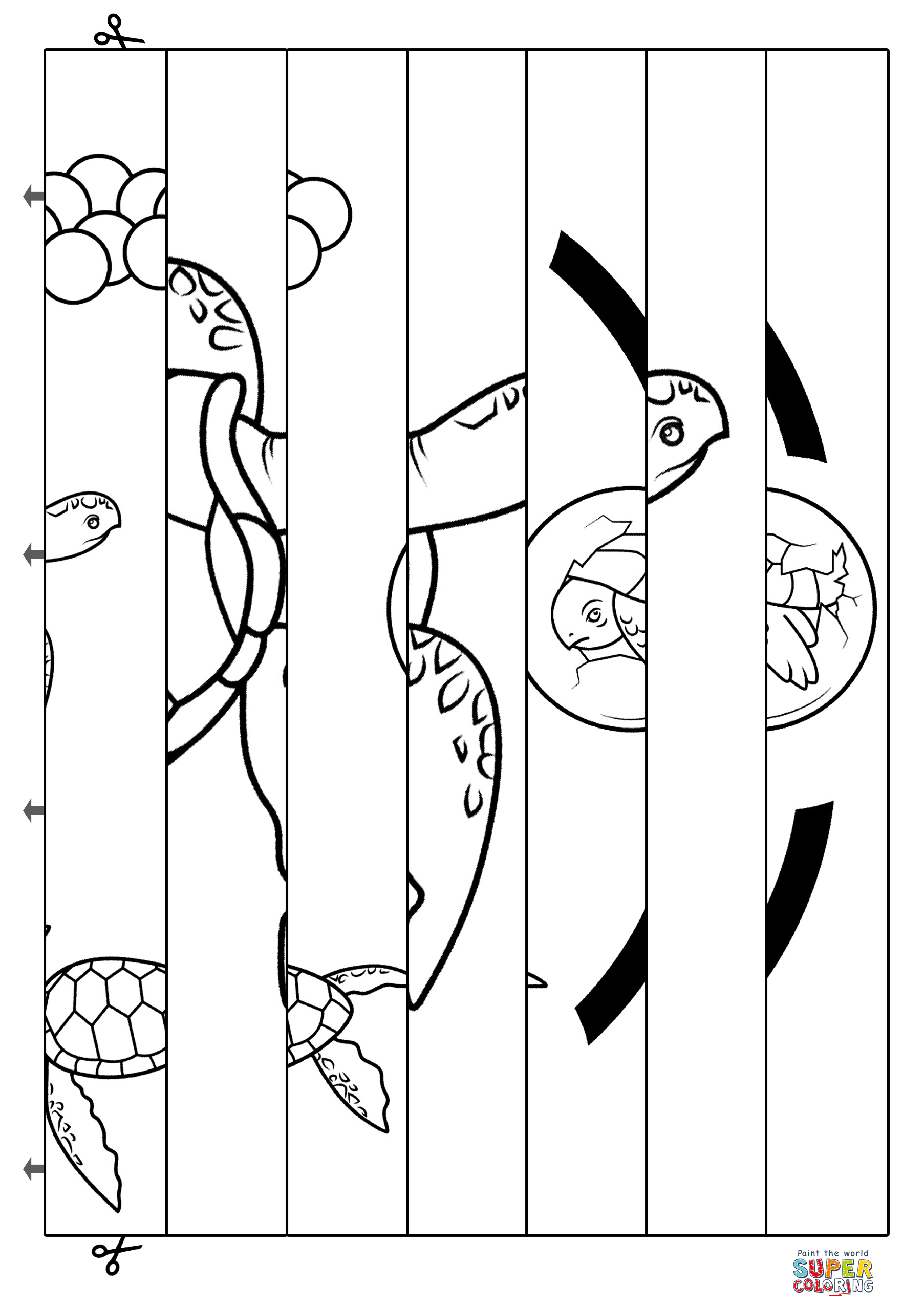 Turtle cycle of life agamograph template free printable papercraft templates