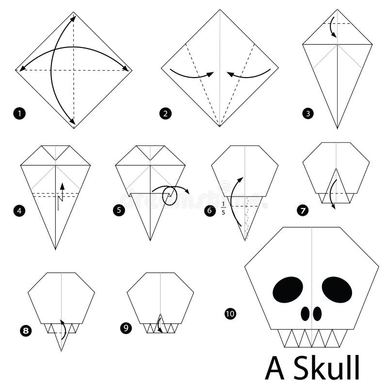 Step by step instructions how to make origami a skull stock vector