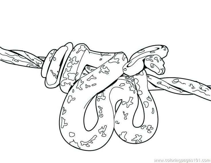 Snake coloring pages pdf printable