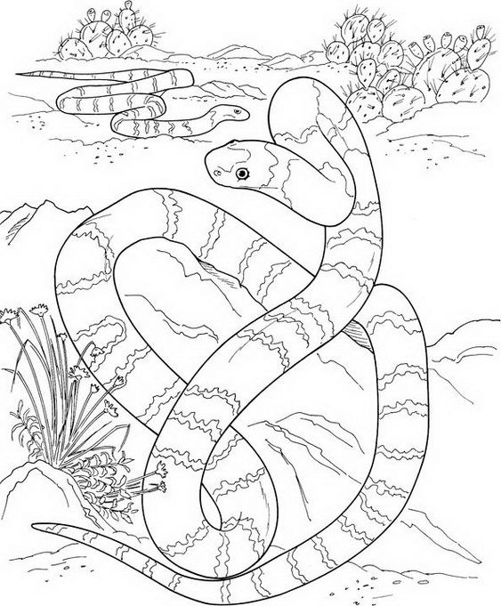 Chinese new year snake coloring pages