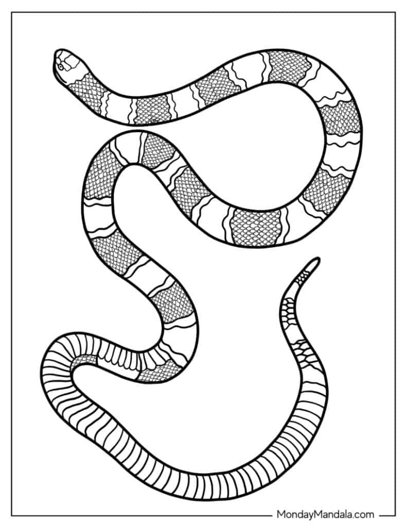 Snake coloring pages free pdf printables