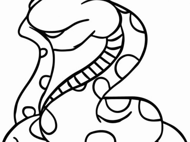 Free easy to print snake coloring pages