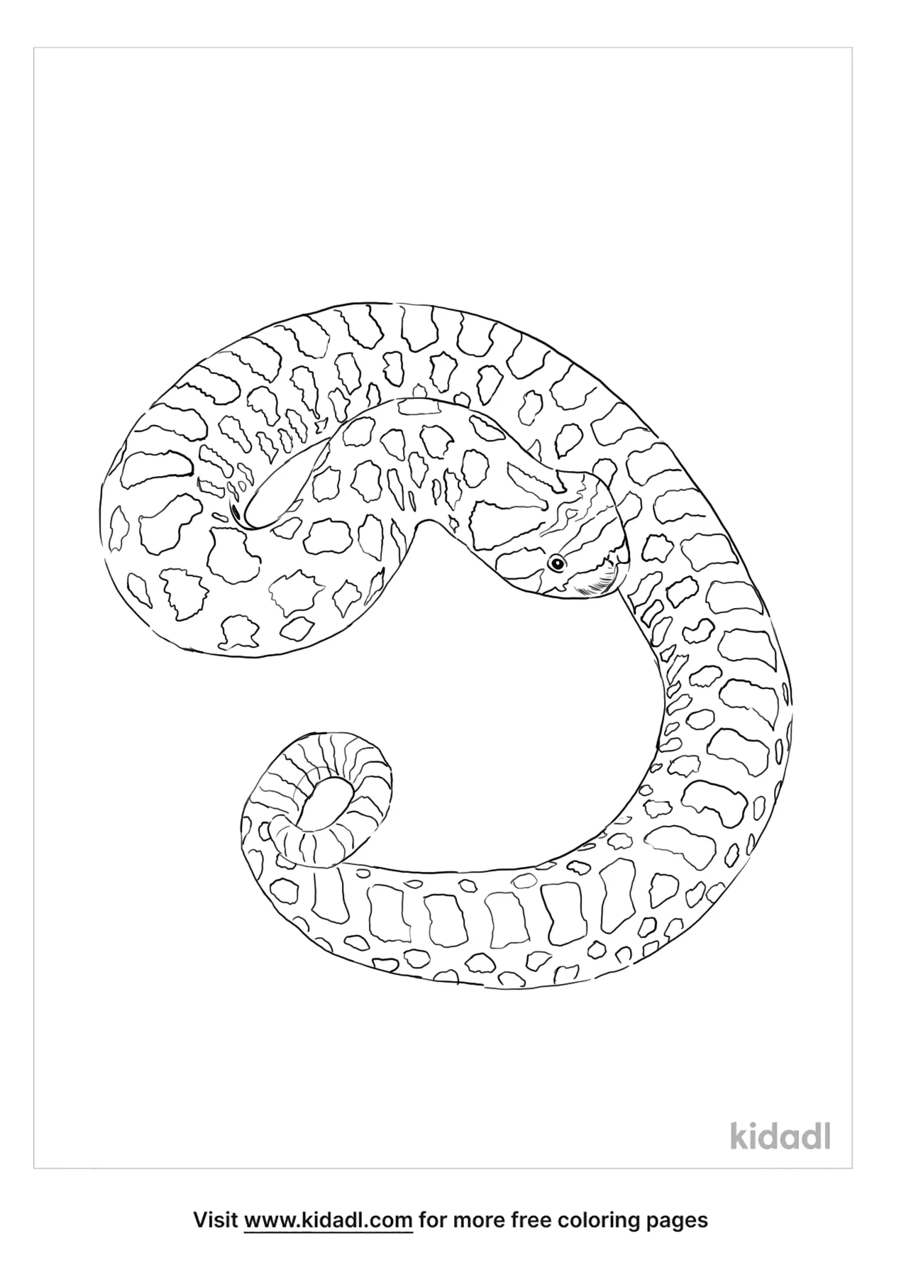 Free hognose snake coloring page coloring page printables