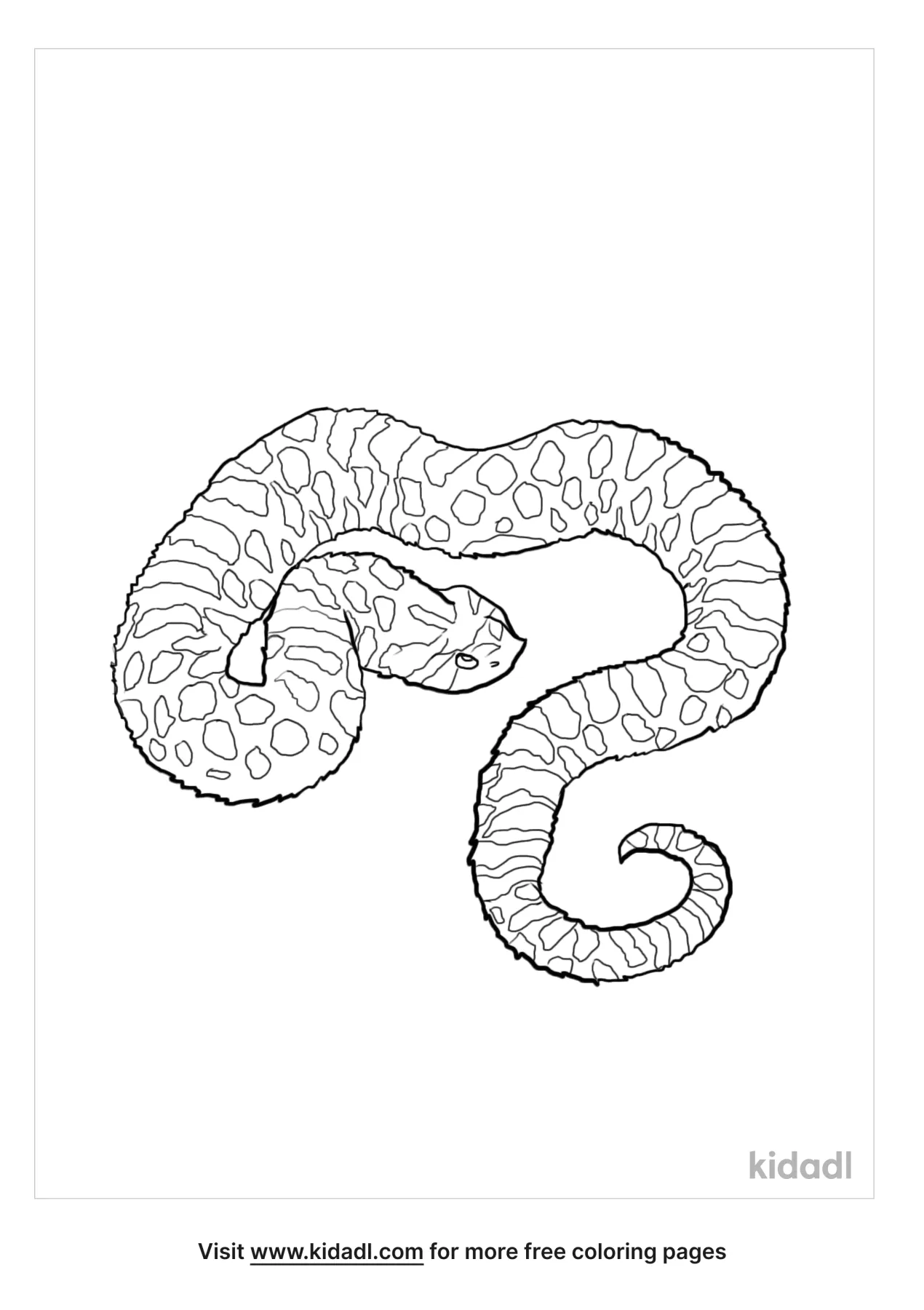 Free western hognose snake coloring page coloring page printables