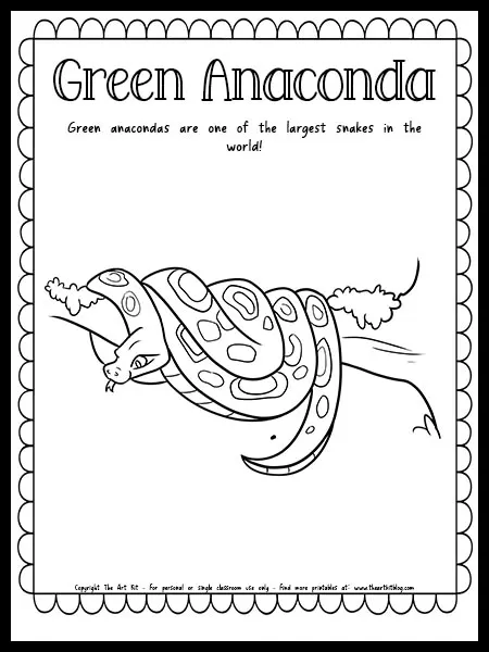 Green anaconda coloring page with fun fact free printable download â the art kit