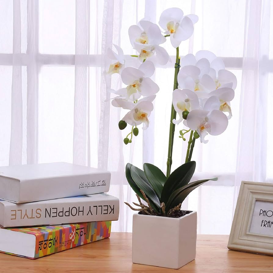 Gxlmii artificial orchids flowers with vase for table centerpieces faux orchid orquideas fake real touch large vivid phalaenopsis white plant indoor room decoration home kitchen