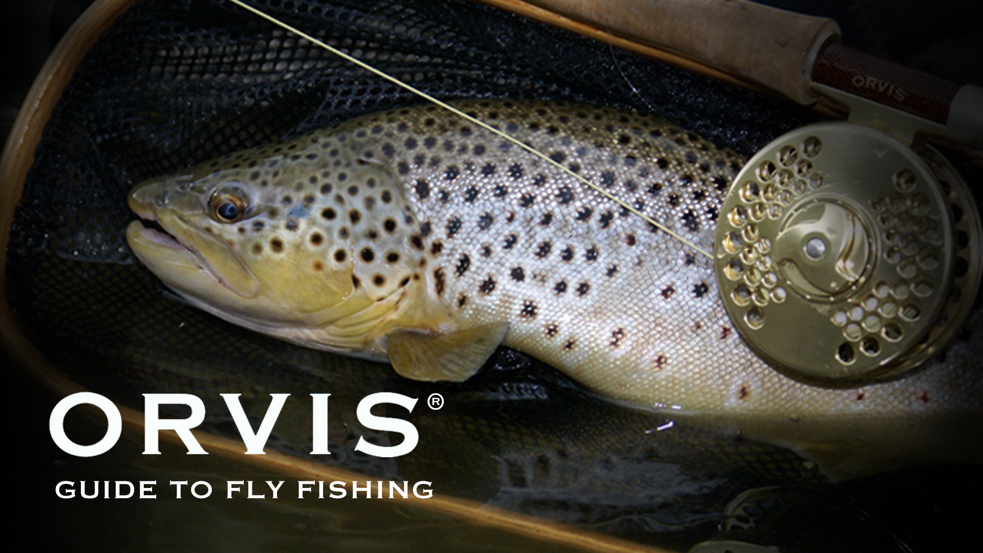 Watch Orvis Guide To Fly Fishing