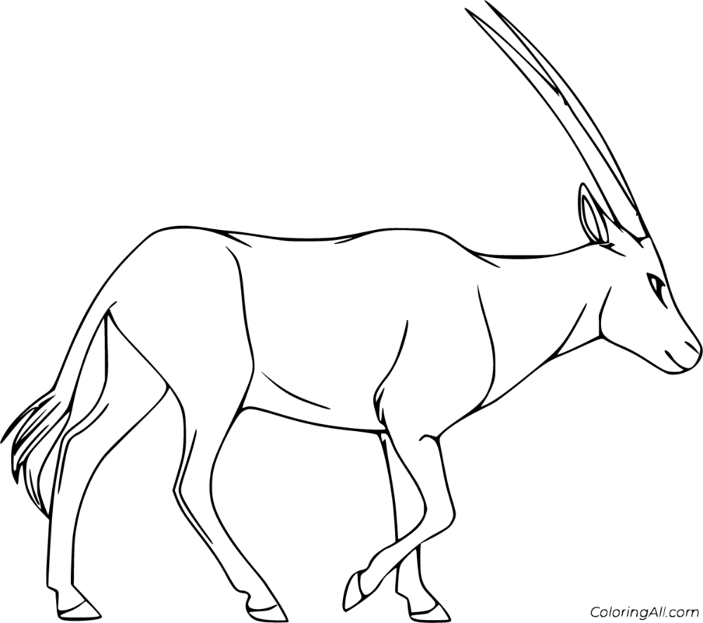 Beautiful oryx coloring pages