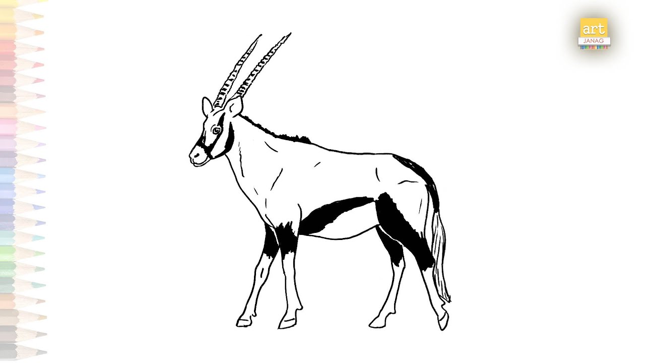 Besia oryx drawing easy wild animal drawings easy how to draw besia oryx step by step