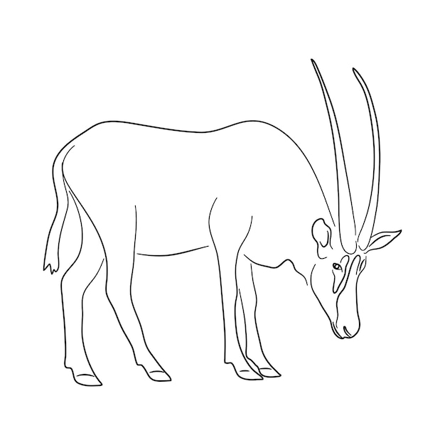 Premium vector oryx illustration in doodle style vector isolated on a white background