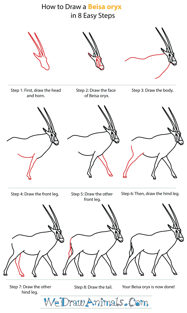 How to draw a beisa oryx