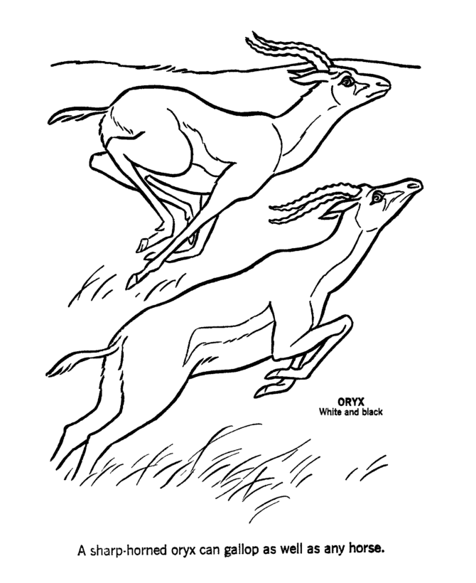 Oryx coloring pages fast oryx coloring page and kids activity sheet coloring pages animal coloring pages free adult coloring pages