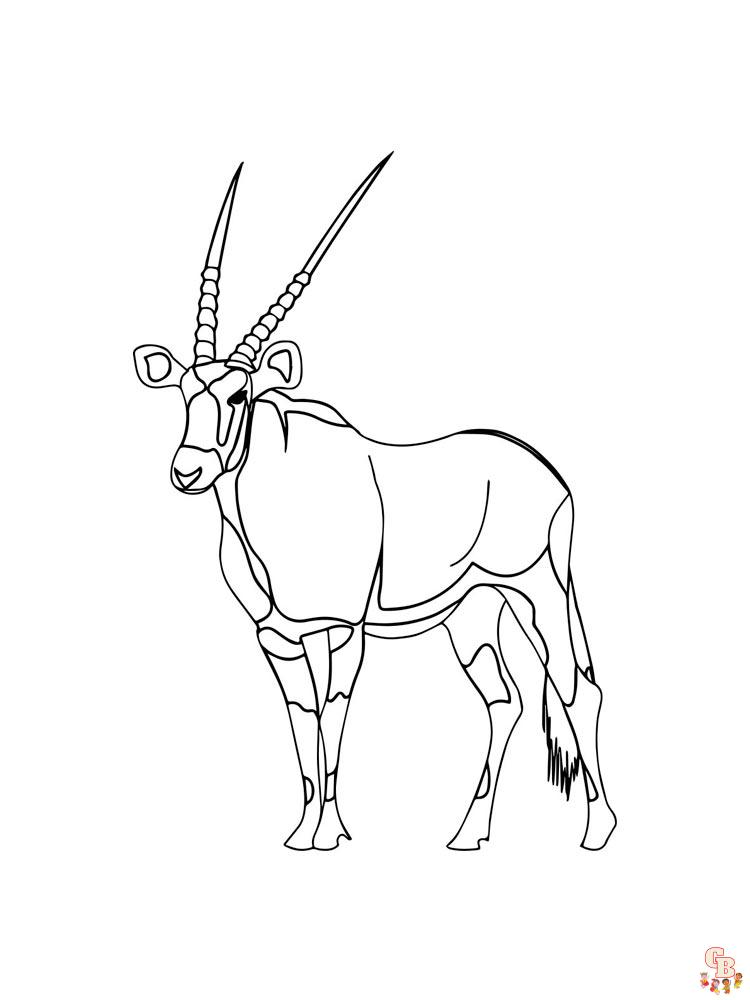 Antelope coloring pages free printable sheets for kids to enjoy