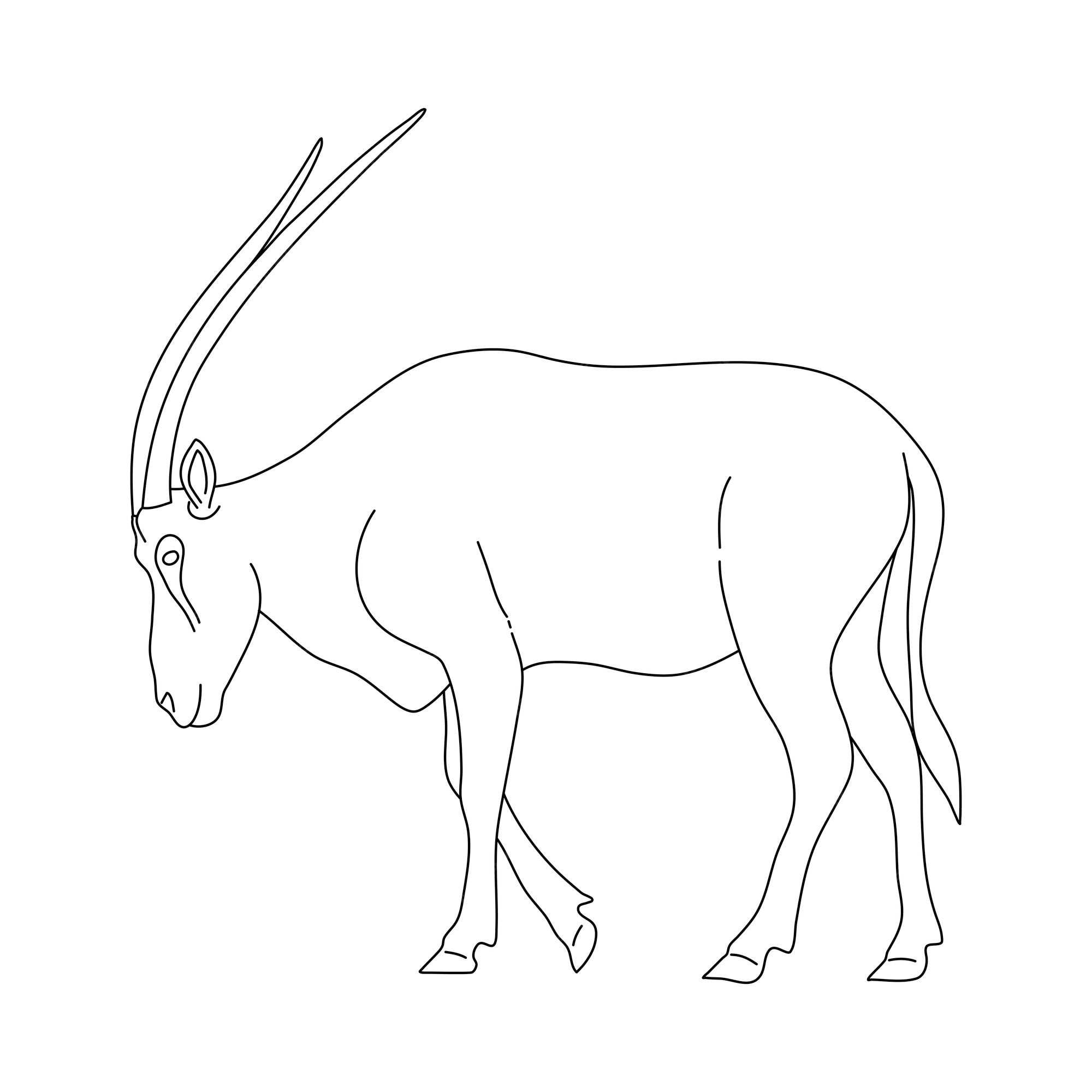 Premium vector sketch of oryx hand drawn vector illustration