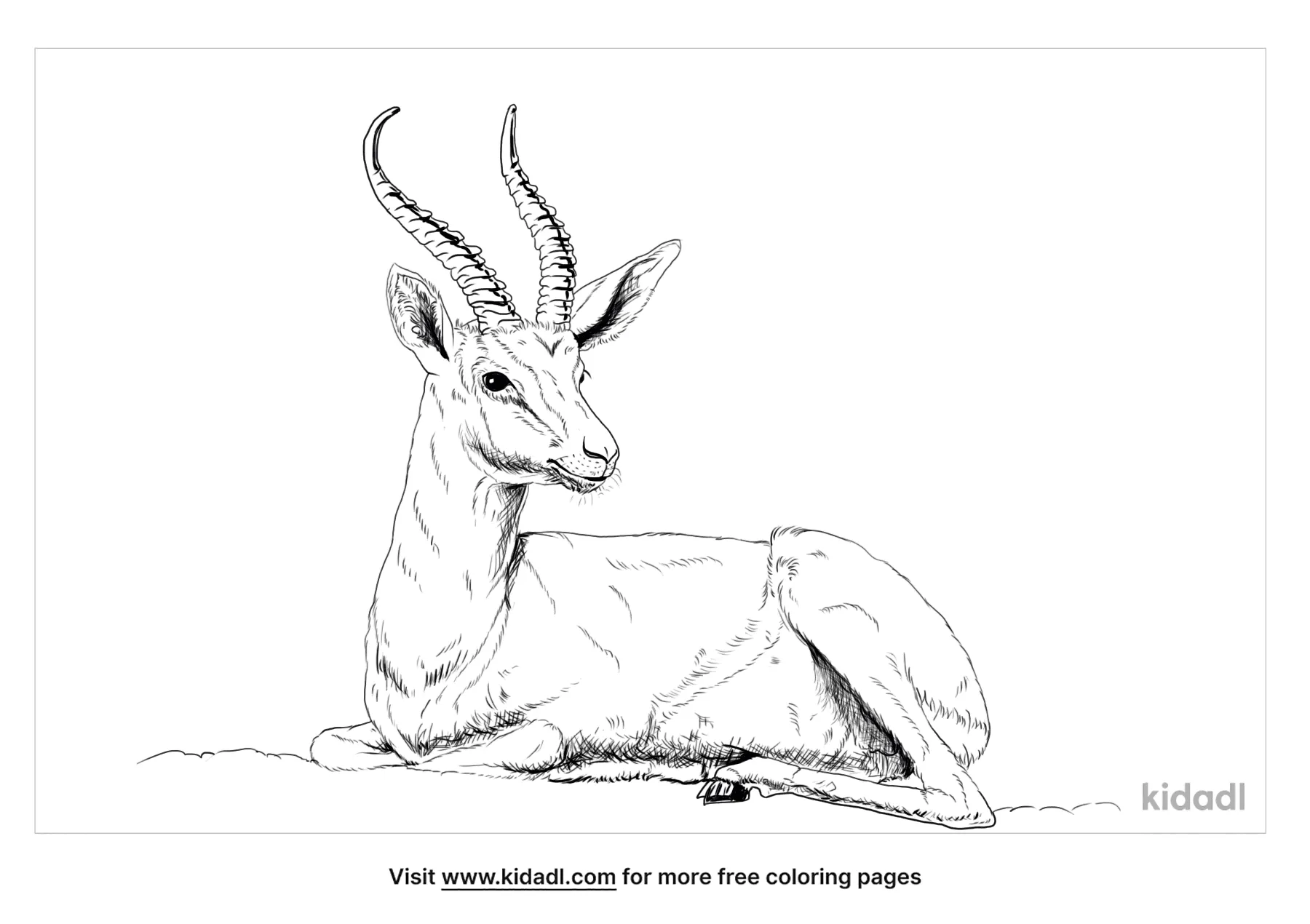 Free arabian oryx coloring page coloring page printables