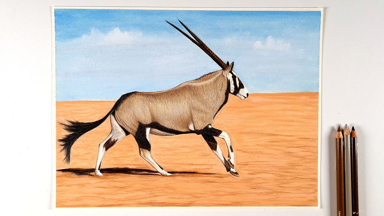 Oryx antelope drawing with colored pencils