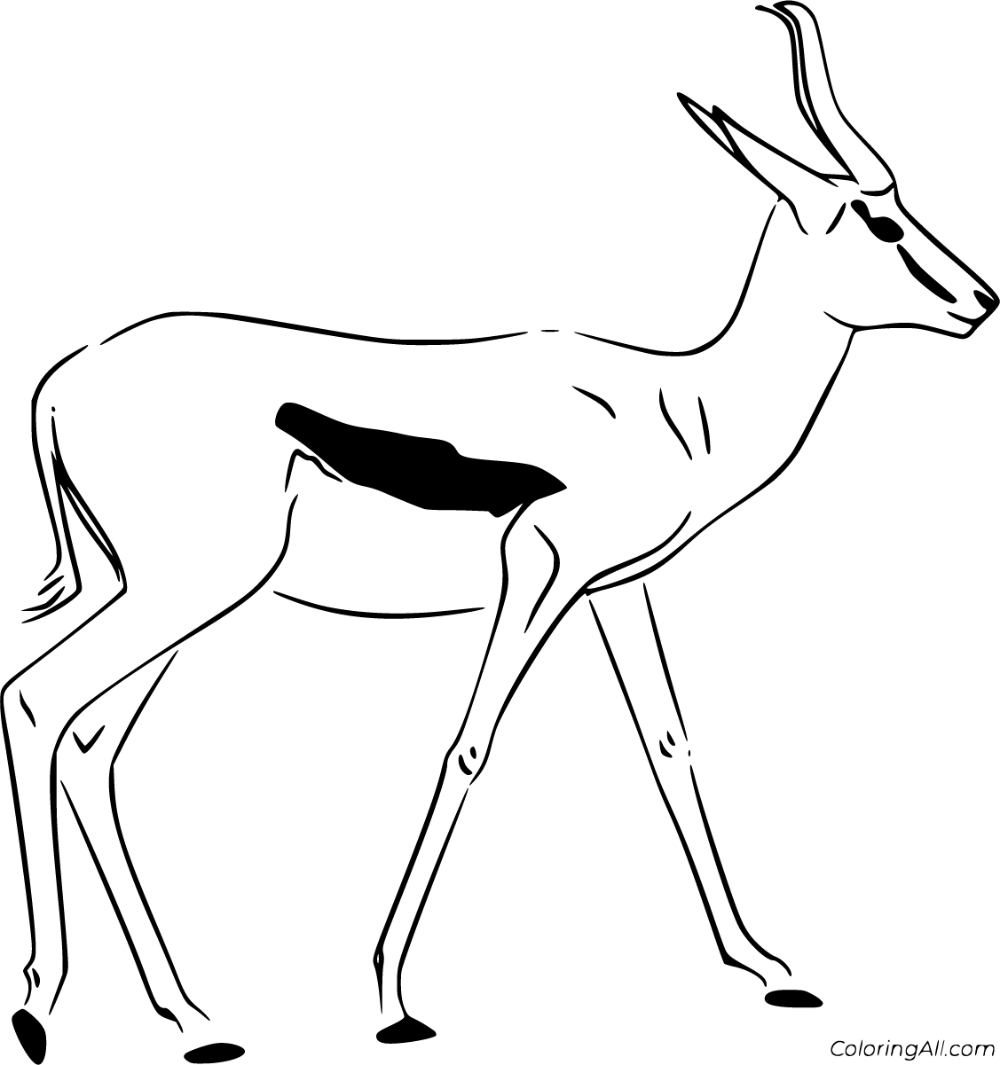 Free printable springbok coloring pages in vector format easy to print from any device and automatically fit any paper size coloring pages springbok color