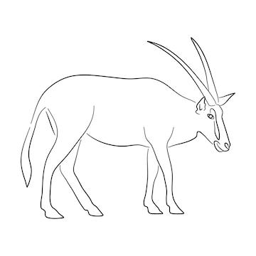 Premium vector sketch drawing of a oryx isolated on a white background vector illustration