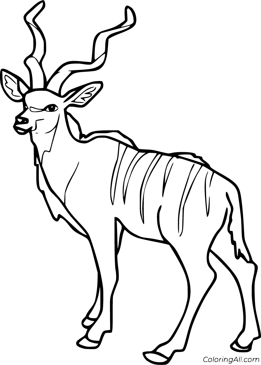 Free printable kudu coloring pages in vector format easy to print from any device and automatically fit any paper size coloring pages antelope animal kudu