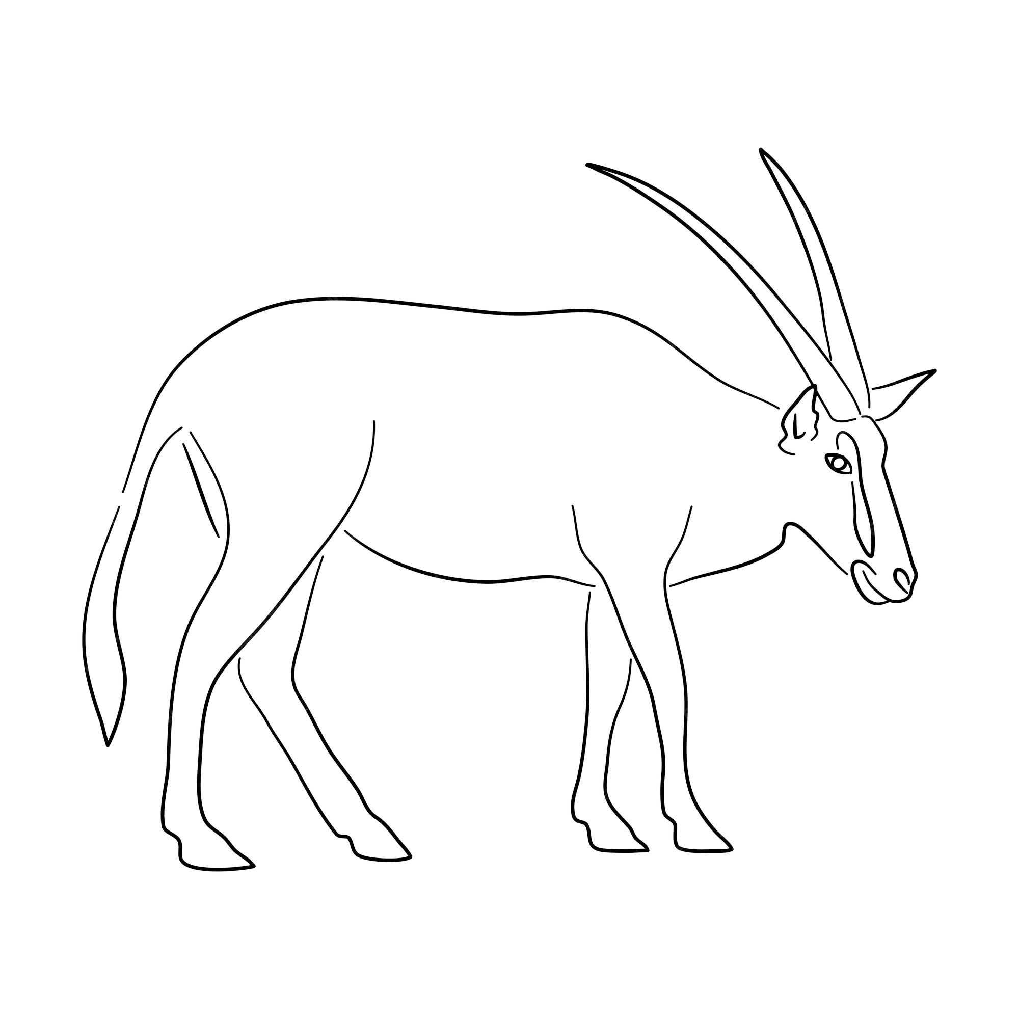 Premium vector sketch drawing of a oryx isolated on a white background vector illustration