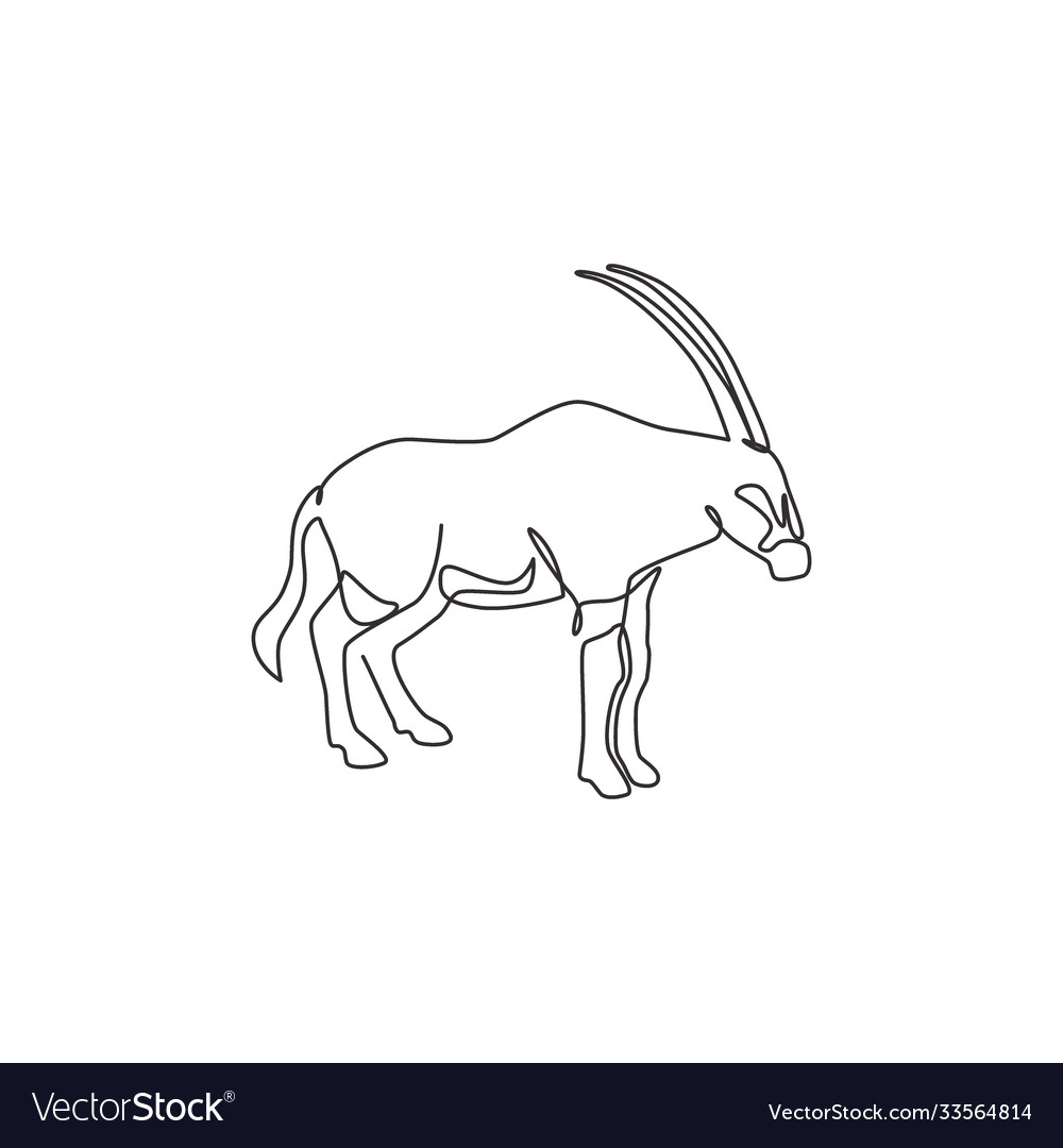 Single continuous line drawing dashing oryx vector image