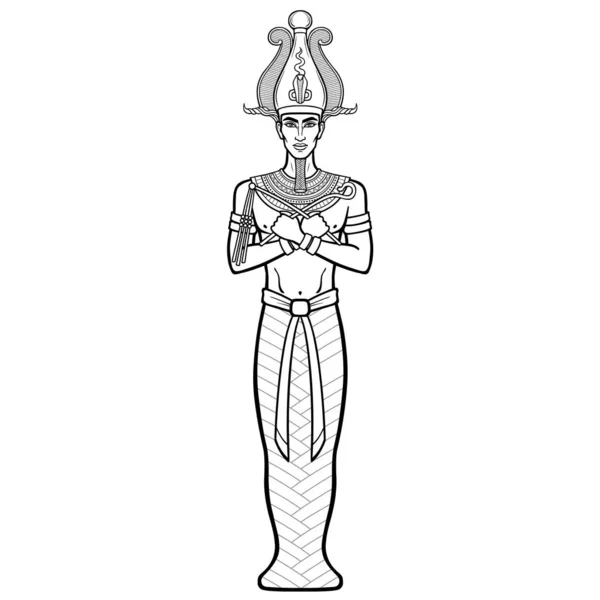 Egyptian mystic vector images