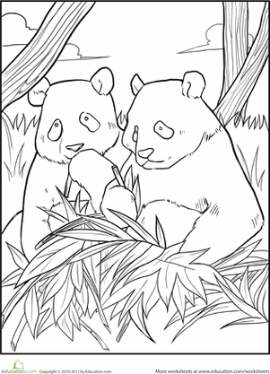 Giant panda worksheet education panda coloring pages be coloring pages coloring pages