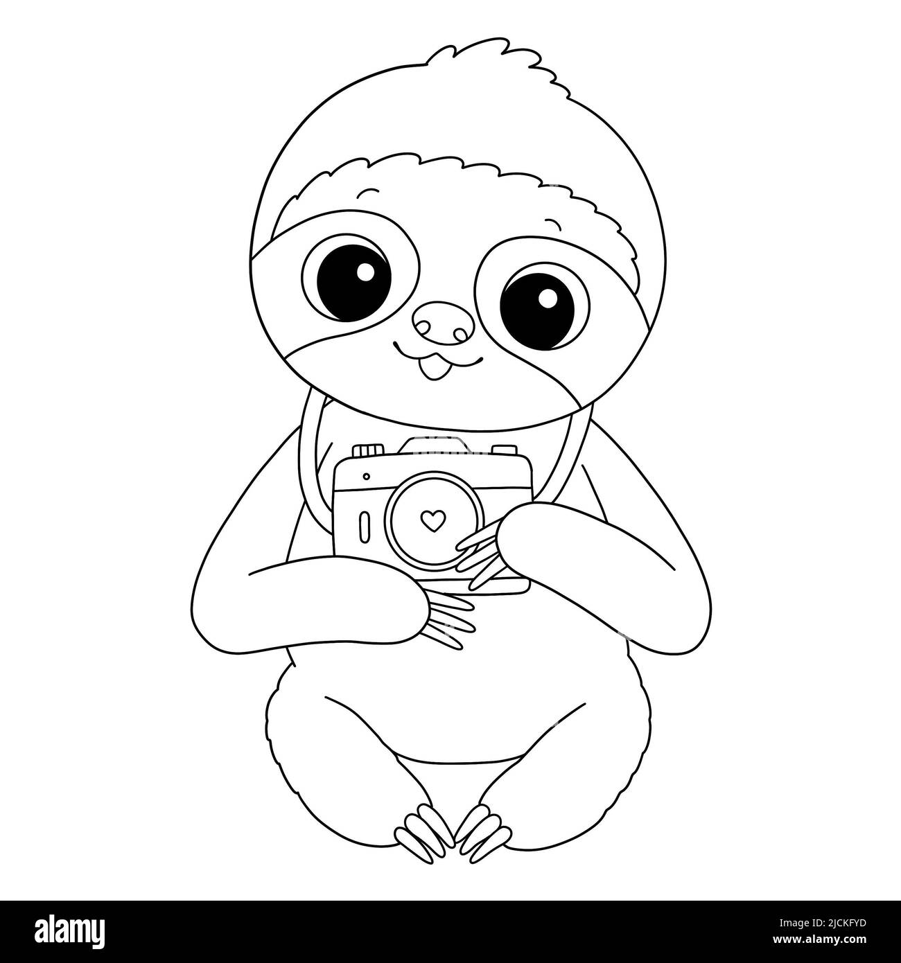 Baby sloth black and white stock photos images