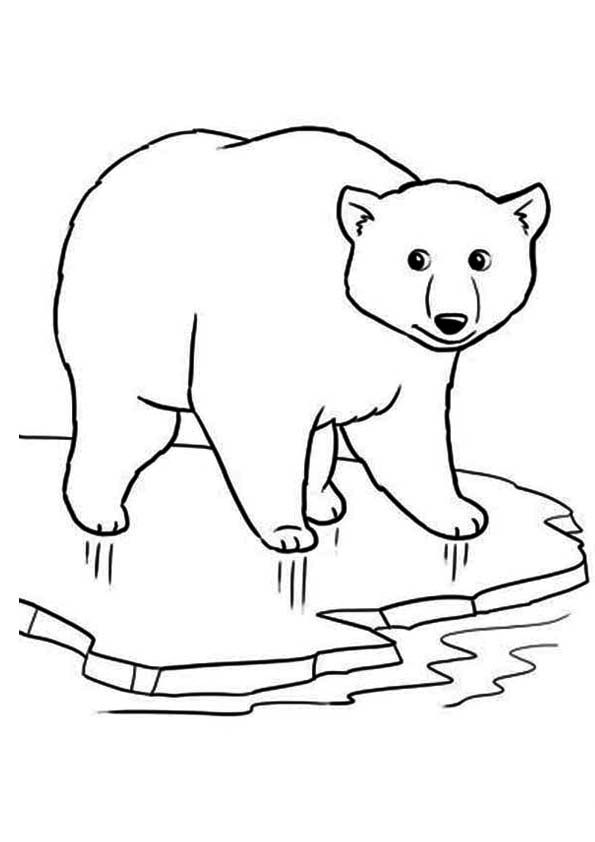 Bear coloring page free coloring page template printing printable bear coloring pages for kids â polar bear coloring page polar bear color bear coloring pages