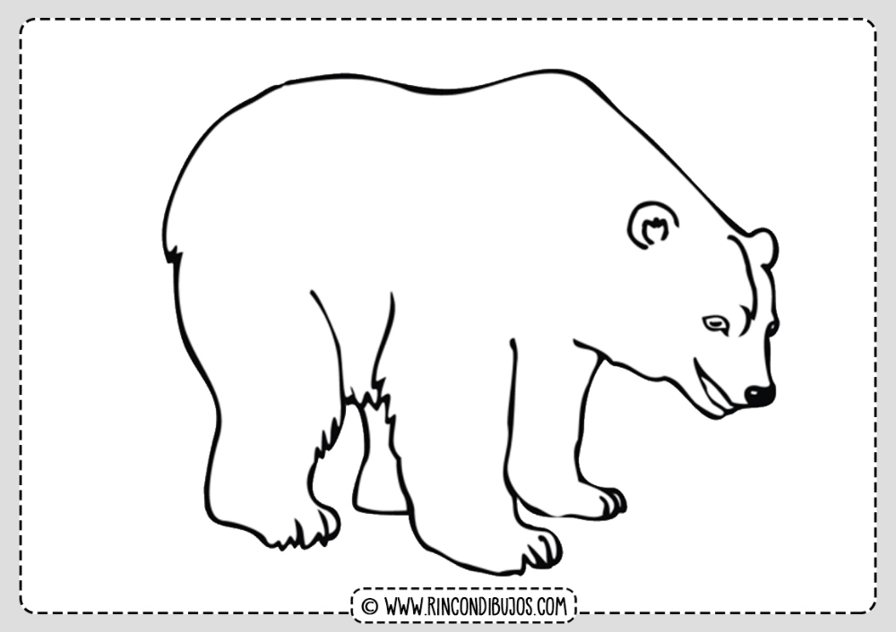 Dibujo oso polar para colorear