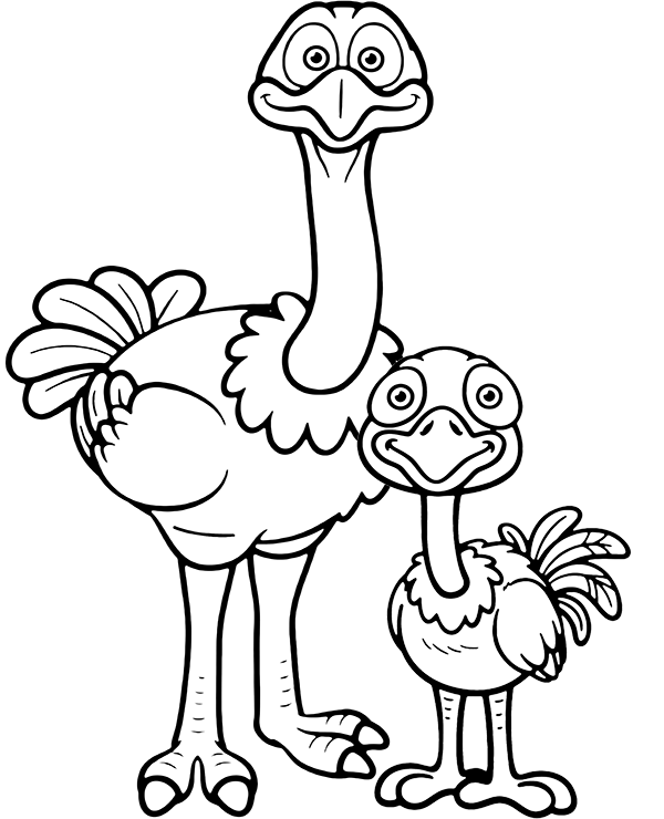 Two funny ostriches coloring page