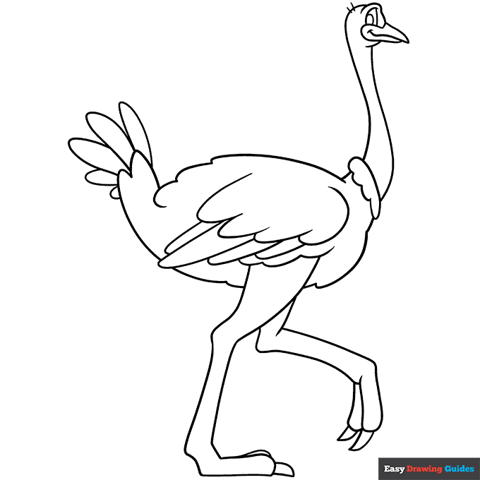 Ostrich coloring page easy drawing guides