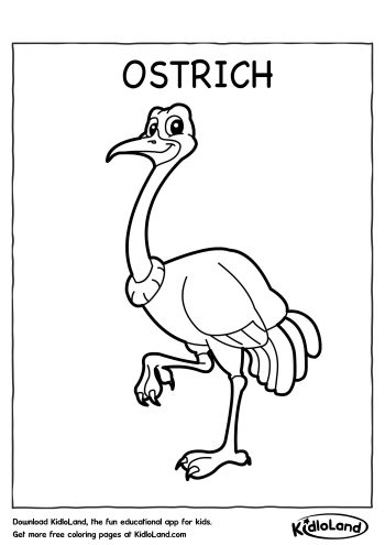 Download free ostrich coloring page and educational activity worksheets for kids