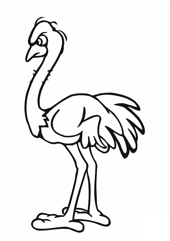 Coloring pages printable ostrich coloring pages for kids