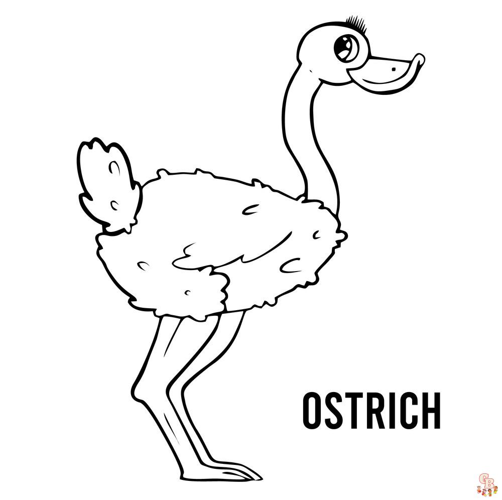 Ostrich coloring pages